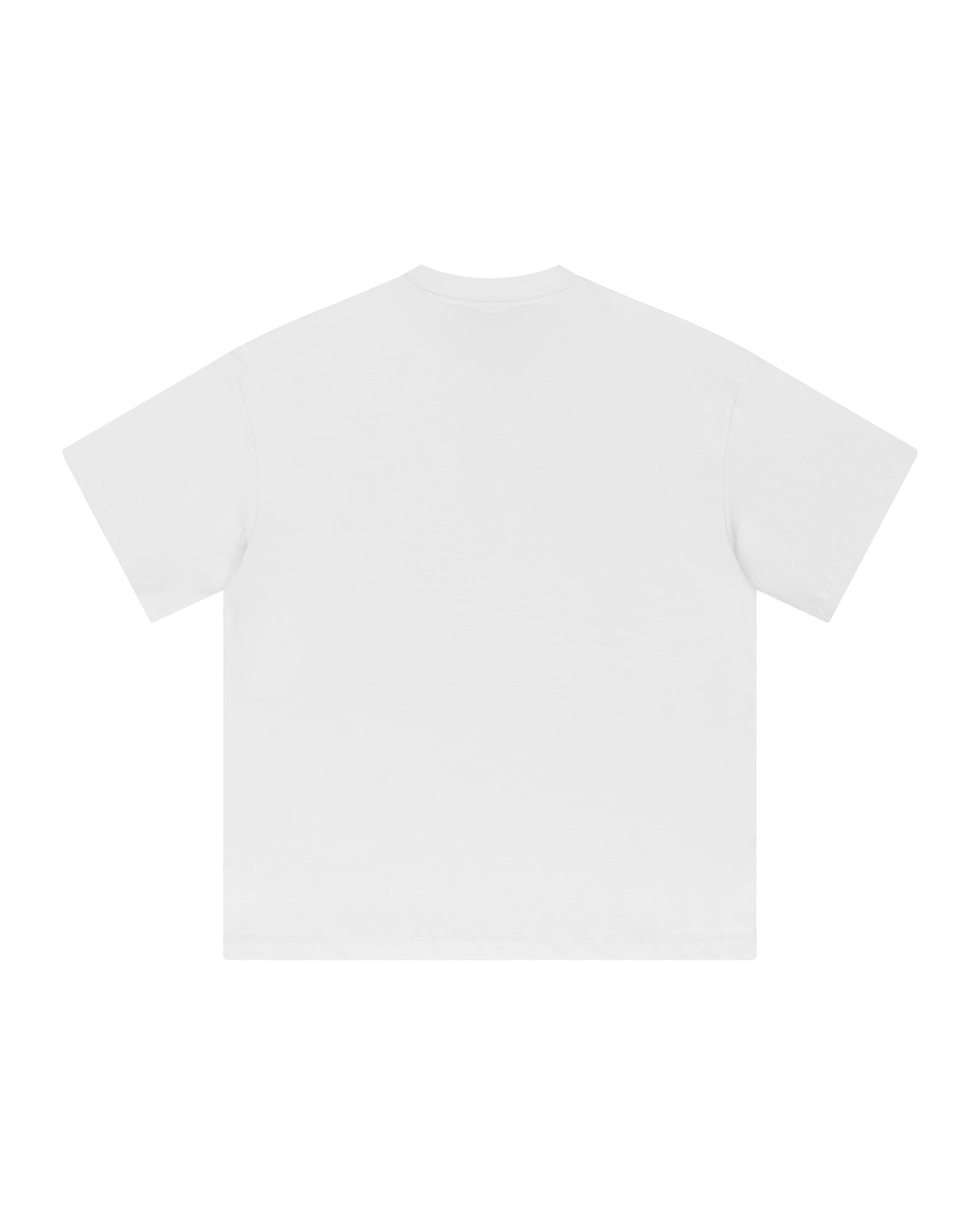 Tee-Shirt Blanc 6raw "6element"