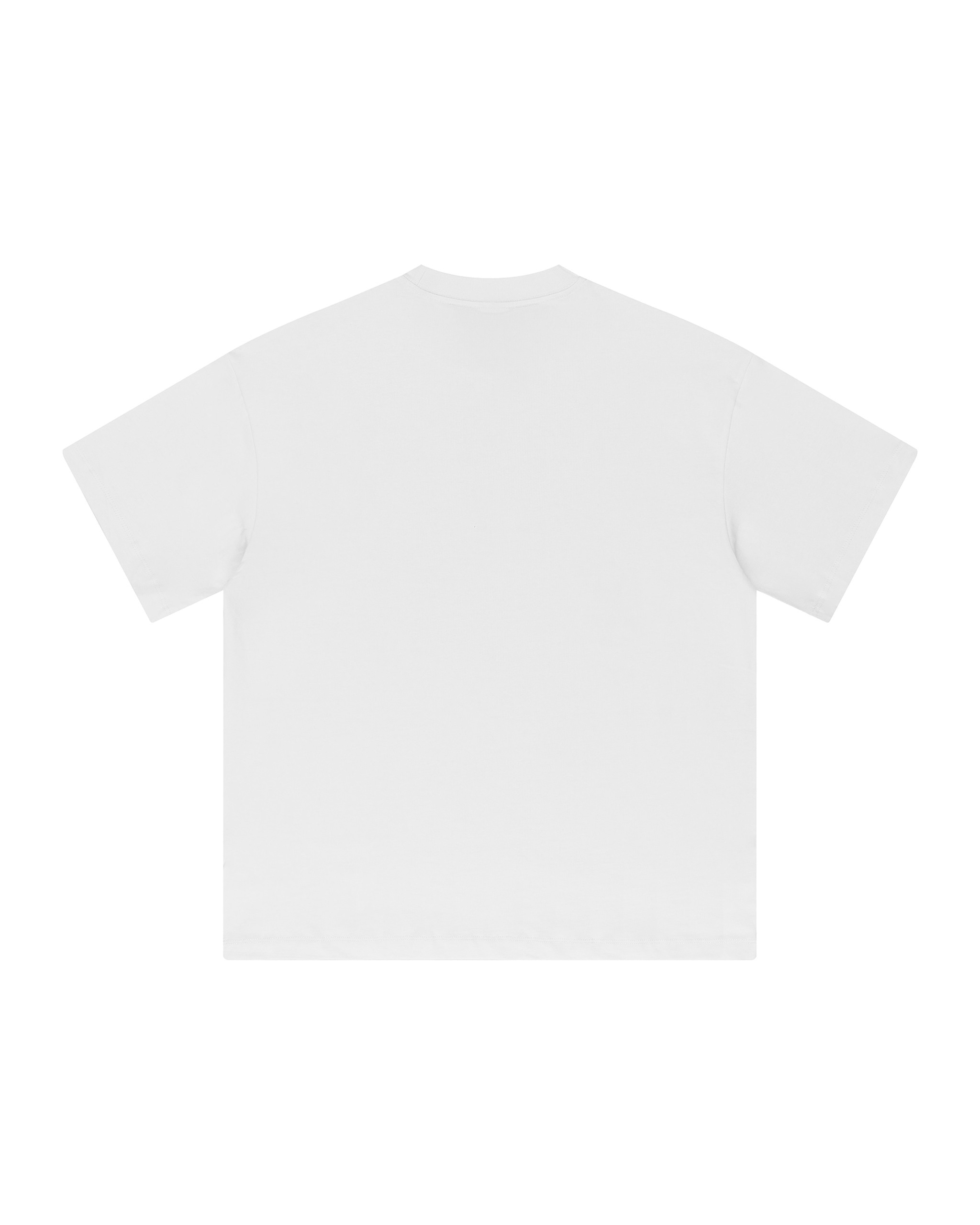 Tee-Shirt Blanc 6raw "6element"
